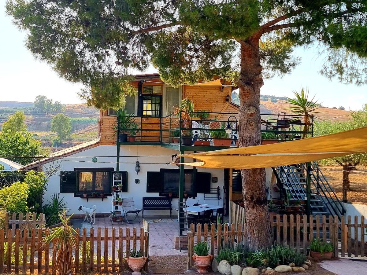 Sunset Valley Village Motta SantʼAnastasia Kültér fotó